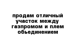 продам отличный участок между газпромом и плем обьединением